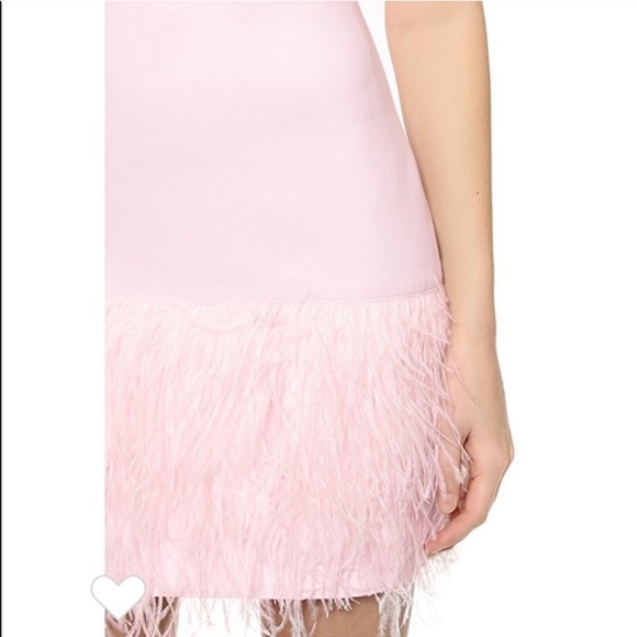 Elizabeth and James New India Feather Dress - Picture 4 of 7